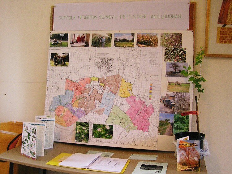 Photo of hedgerow survey display at Heritage Exhibition, July 2005