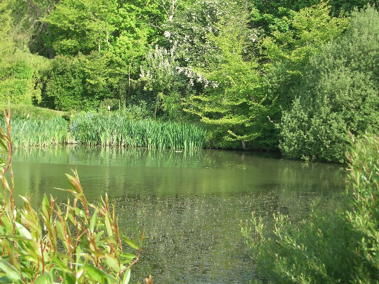 Photo of Presmere Pond, 14th May 2005