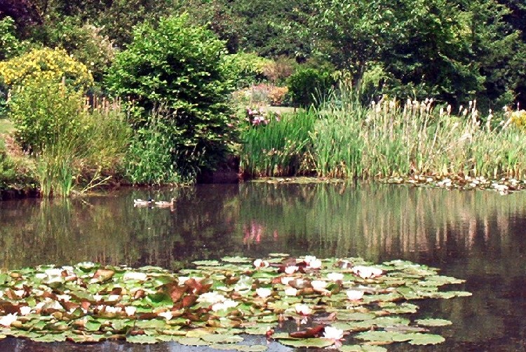 Photo of Presmere Pond, June 2004