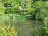Photo of Premere Pond, 14th May 2005